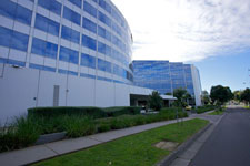 The Ibis Hotel