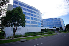 The Ibis Hotel