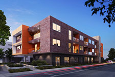 The Ibis Hotel